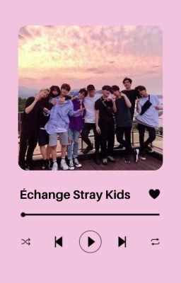 Echange d'OS Spécial Saint-Valentin ▸ Stray Kids