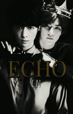 ECHO *[SeXing]