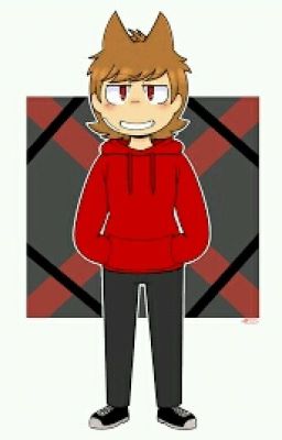 Eddsworld tord x reader {PLZ READ DESCRIPTION}