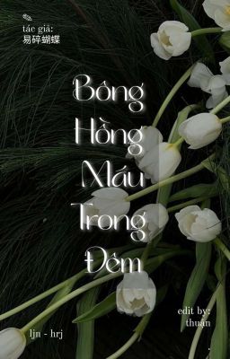 °edit° bông hồng máu trong đêm | ⌞noren⌝