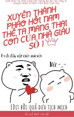 [EDIT]-Xuyên qua thành pháo hôi nam thê,ta mang thai con của nhà giàu số 1