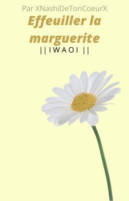 Effeuiller la marguerite | I w a O i•