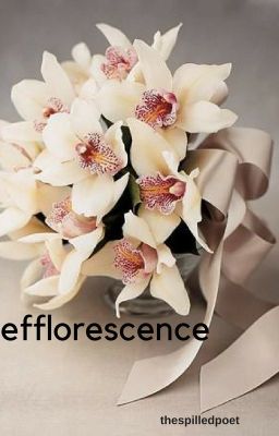 Efflorescence (Sequel)