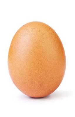 egg