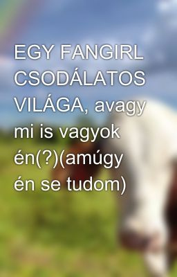 EGY FANGIRL CSODÁLATOS VILÁGA, avagy mi is vagyok én(?)(amúgy én se tudom)