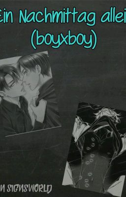 Ein Nachmittag allein (boy x boy)