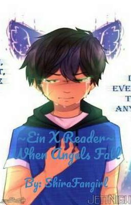 ~Ein X Reader~ When Angels Fall