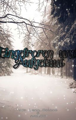 Eingefroren und Aufgetaut