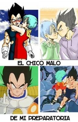 El chico malo de mi preparatoria - Vegeta y Bulma