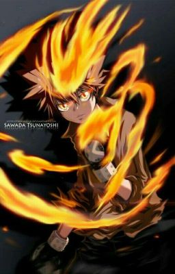 El Decimo Vongola En Boku No Hero