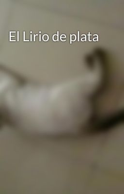 El Lirio de plata