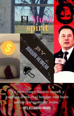 El Musk spirit