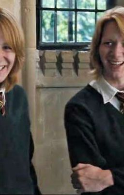 El Novio de los Weasley