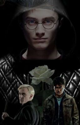 El Prisionero De La Bestia [Harco/Drarry]