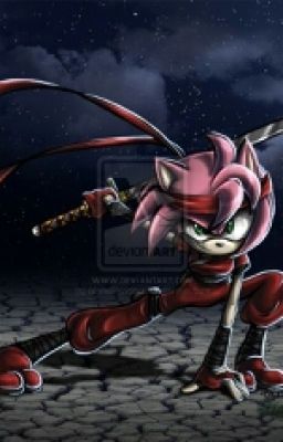 El Rescate (Historia Sonamy)