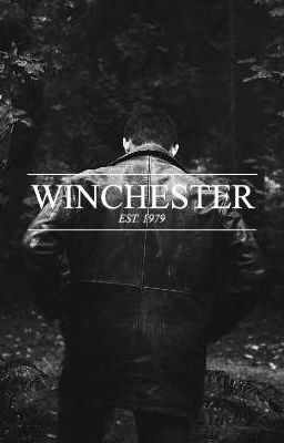 El Sucesor fe lo Winchester 