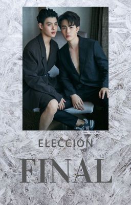 Elección final - ZeeSaint (Libro 3)