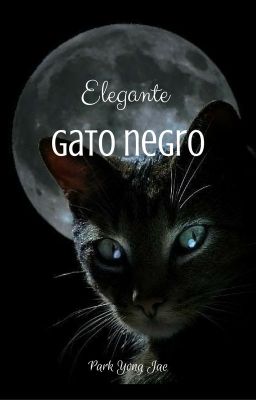 Elegante Gato Negro