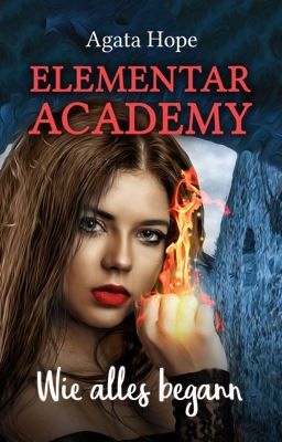 Elementar Academy - Wie alles begann