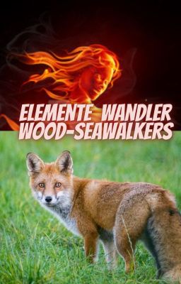 Elemente Wandler Woodwalkers und Seawalkers FEUER