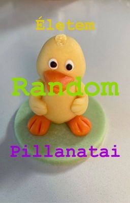 ✨Életem random pillanatai✨