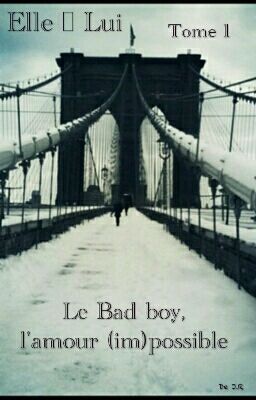 Elle et lui, tome 1 : Le bad boy, l'amour (im)possible