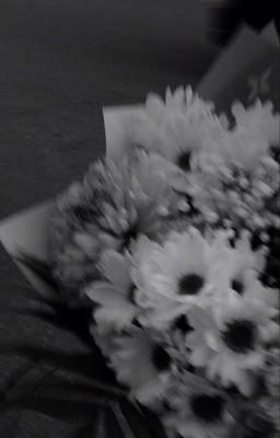 Em vẫn thường hay thương nhớ người ấy