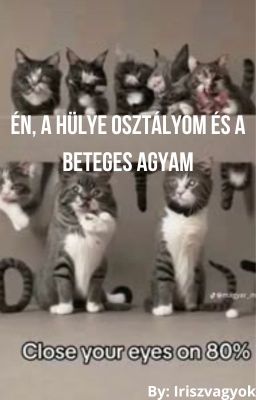 Én, a hülye osztályom, és a beteges agyam