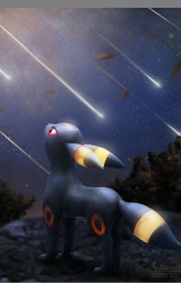 En Busca de la Felicidad (La Vida de un Umbreon) 