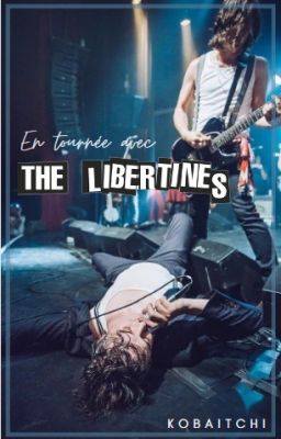 En tournée avec The Libertines