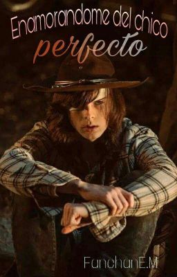 Enamorandome del Chico Perfecto[Carl Grimes Y Tú]|TERMINADA| #RiggersAwards2018