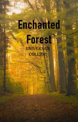 Enchanted Forest: Universes Collide.