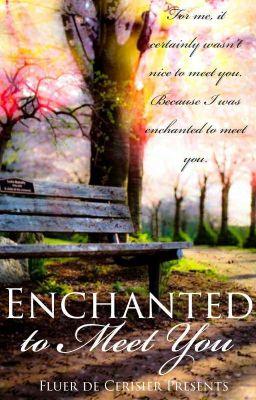 Enchanted to Meet You