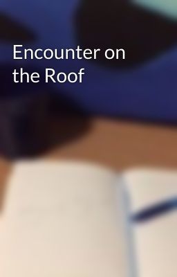 Encounter on the Roof