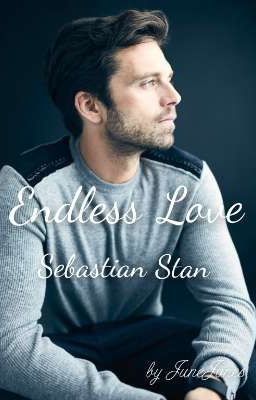 Endless Love   Sebastian Stan 