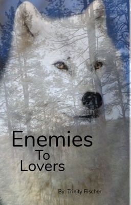 Enemies or lovers