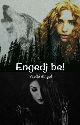 Engedj be!