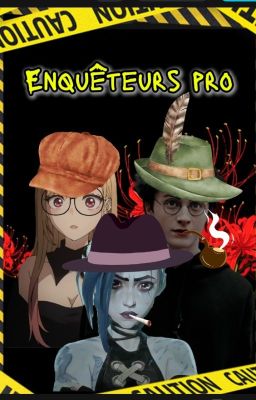 Enquêteurs pro