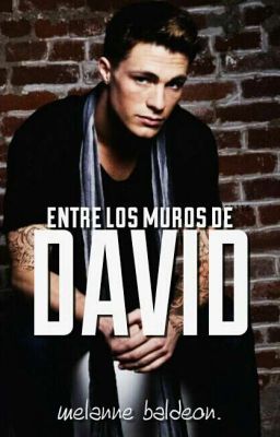 Entre los muros de David