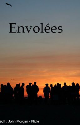 Envolées