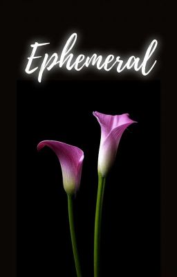 EPHEMERAL [COMPLETED]