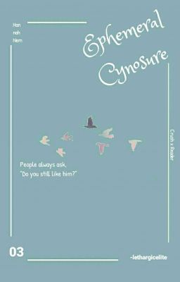 Ephemeral Cynosure ▽  (Crush X Reader)