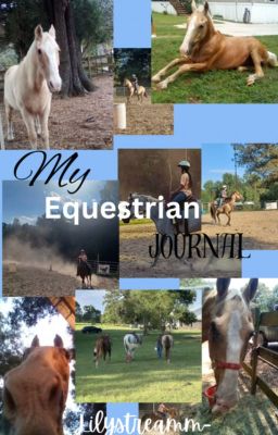 ♥ Equestrian Journal ♥