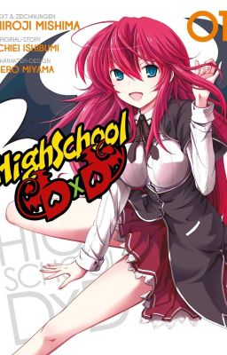 Es hora de una nueva aventura lector x highschool Dxd