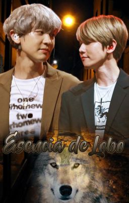 Esencia de Lobo {ChanBaek | BaekYeol}