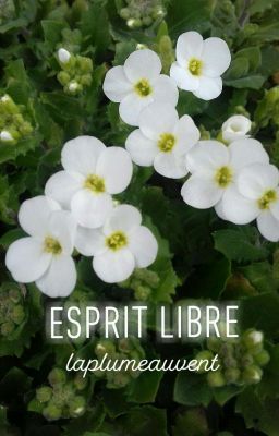 Esprit Libre 🌲