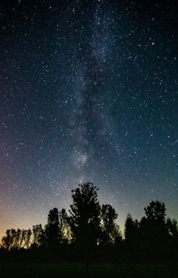 Esse Pythonissam: The Witch, The Cat and the Wisp {First Draft}