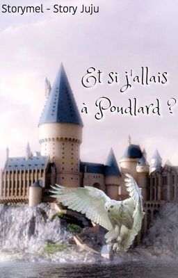 Et si j'allais à Poudlard ?