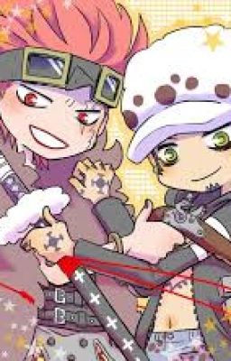 Eustass Kidd X Reader (One-Shot)