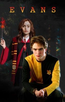 Evans |Cedric Diggory.